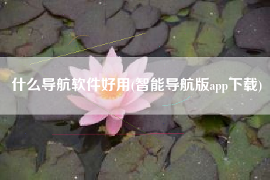 什么导航软件好用(智能导航版app下载)