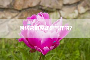 网络营销模式是怎样的？