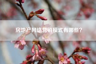 房地产网络营销模式有哪些？