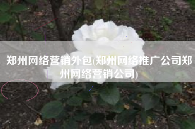 郑州网络营销外包(郑州网络推广公司郑州网络营销公司)