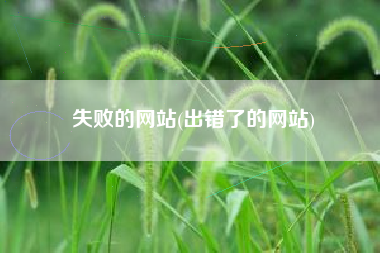 失败的网站(出错了的网站)