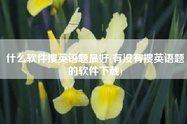 什么软件搜英语题最好(有没有搜英语题的软件下载)
