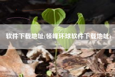 软件下载地址(领峰环球软件下载地址)
