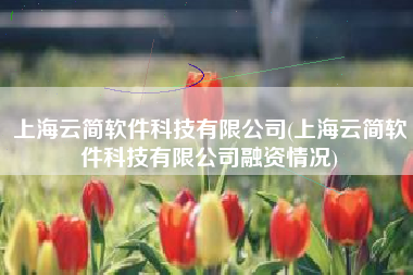 上海云简软件科技有限公司(上海云简软件科技有限公司融资情况)