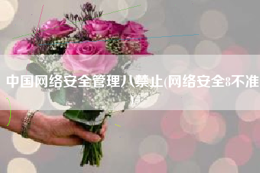 中国网络安全管理八禁止(网络安全8不准)