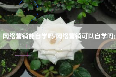 网络营销能自学吗(网络营销可以自学吗)