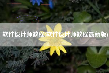 软件设计师教程(软件设计师教程最新版)