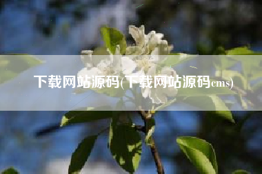 下载网站源码(下载网站源码cms)