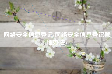 网络安全信息登记(网络安全信息登记管理办法)