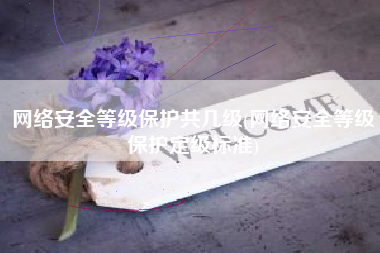 网络安全等级保护共几级(网络安全等级保护定级标准)