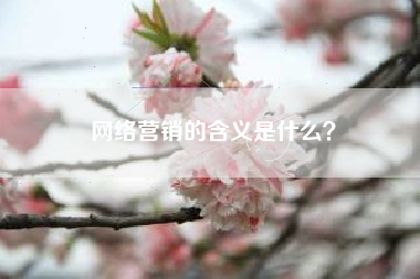 网络营销的含义是什么？