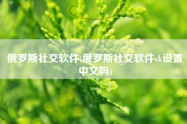 俄罗斯社交软件(俄罗斯社交软件vk设置中文吗)