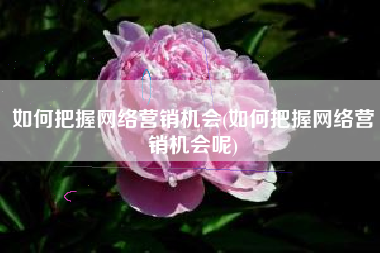 如何把握网络营销机会(如何把握网络营销机会呢)