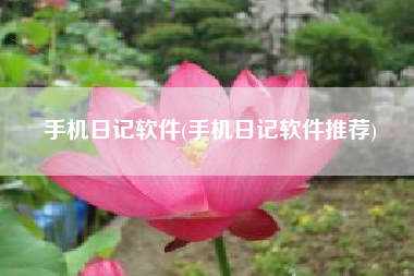 手机日记软件(手机日记软件推荐)