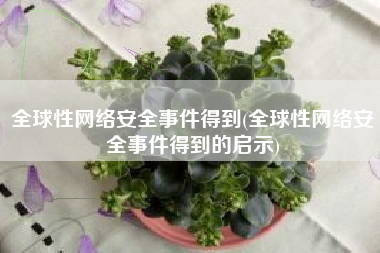 全球性网络安全事件得到(全球性网络安全事件得到的启示)