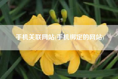 手机关联网站(手机绑定的网站)