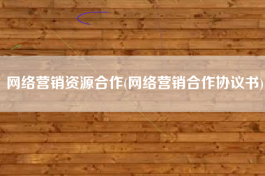 网络营销资源合作(网络营销合作协议书)