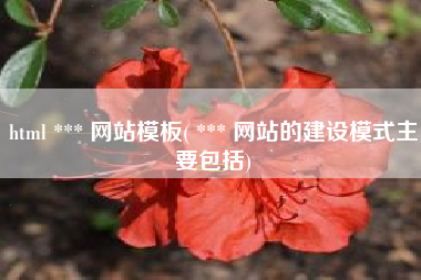 html *** 网站模板( *** 网站的建设模式主要包括)