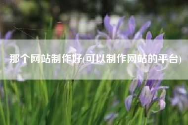 那个网站制作好(可以制作网站的平台)