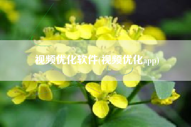 视频优化软件(视频优化app)