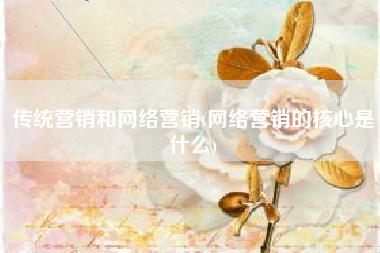 传统营销和网络营销(网络营销的核心是什么)