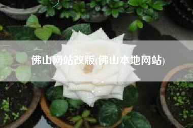 佛山网站改版(佛山本地网站)