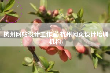 杭州网站设计工作室(杭州网页设计培训机构)