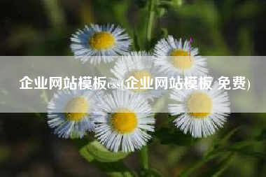 企业网站模板css(企业网站模板 免费)