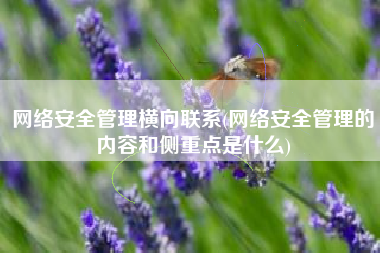 网络安全管理横向联系(网络安全管理的内容和侧重点是什么)