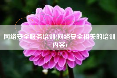 网络安全服务培训(网络安全相关的培训内容)