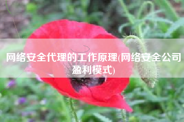 网络安全代理的工作原理(网络安全公司盈利模式)