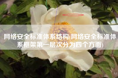 网络安全标准体系结构(网络安全标准体系框架第一层次分为四个方面)