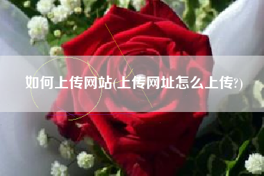 如何上传网站(上传网址怎么上传?)