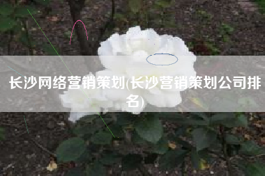 长沙网络营销策划(长沙营销策划公司排名)