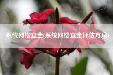 系统网络安全(系统网络安全评估方案)