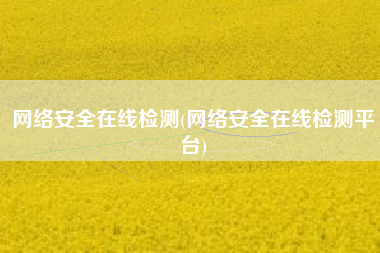 网络安全在线检测(网络安全在线检测平台)