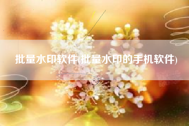 批量水印软件(批量水印的手机软件)