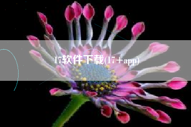 17软件下载(17+app)