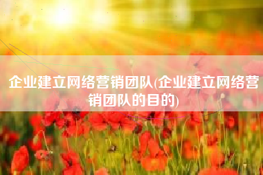 企业建立网络营销团队(企业建立网络营销团队的目的)