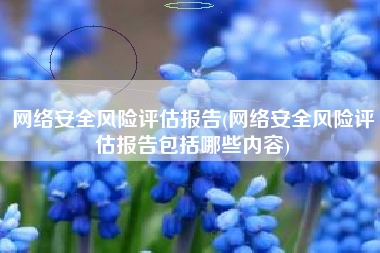 网络安全风险评估报告(网络安全风险评估报告包括哪些内容)