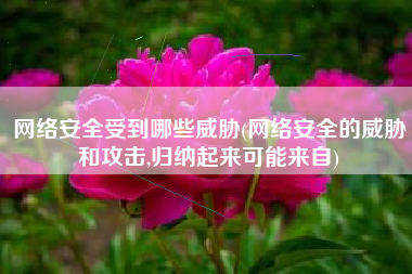 网络安全受到哪些威胁(网络安全的威胁和攻击,归纳起来可能来自)
