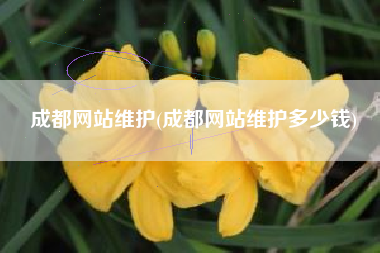 成都网站维护(成都网站维护多少钱)