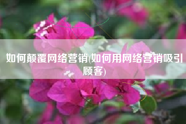 如何颠覆网络营销(如何用网络营销吸引顾客)