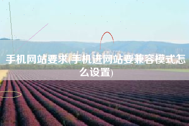 手机网站要求(手机进网站要兼容模式怎么设置)