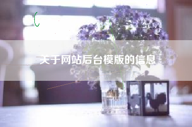 关于网站后台模版的信息