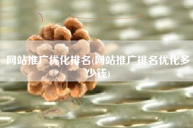 网站推广优化排名(网站推广排名优化多少钱)