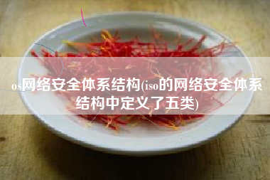 os网络安全体系结构(iso的网络安全体系结构中定义了五类)