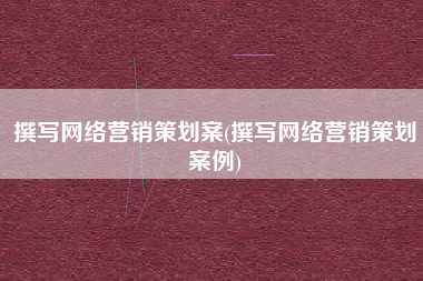 撰写网络营销策划案(撰写网络营销策划案例)