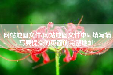 网站地图文件(网站地图文件中loc填写填写要提交的页面的完整地址)