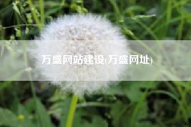 万盛网站建设(万盛网址)